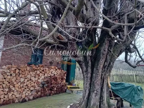 Sale, house, 180m², Arandjelovac, Srbija - image 8