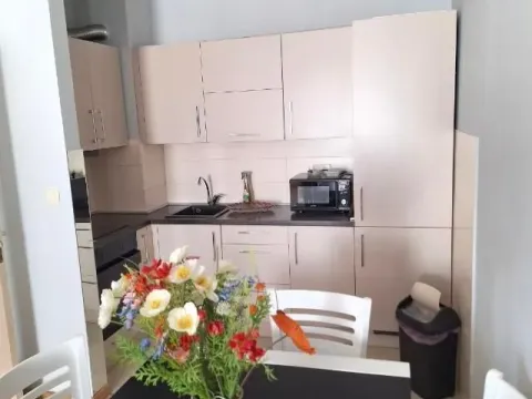 Rent, one bedroom apartment, 46m², City Kvart, Podgorica - image 3