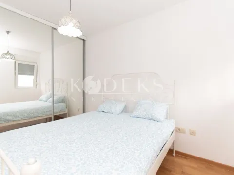 Izdavanje, jednosoban stan, 42m², Stari Aerodrom, Podgorica - image 7