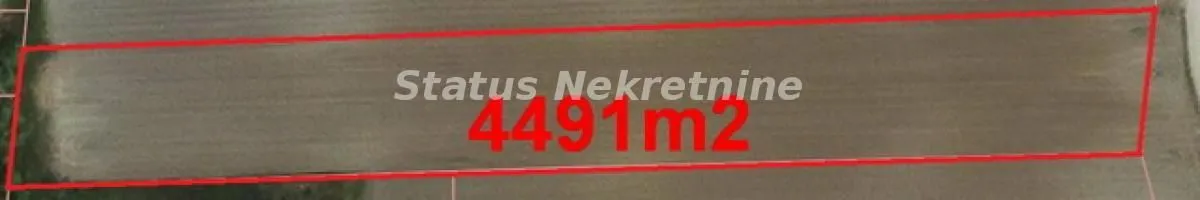 Prodaja, plac, 4491m², Futog, Novi Sad Sve Podlokacije