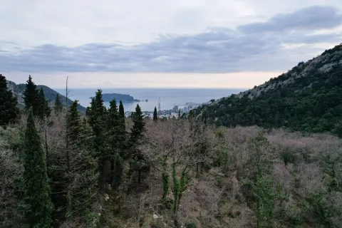 Panoramski pogled na more i okolna brda sa šumovitim predjelom. - image 17