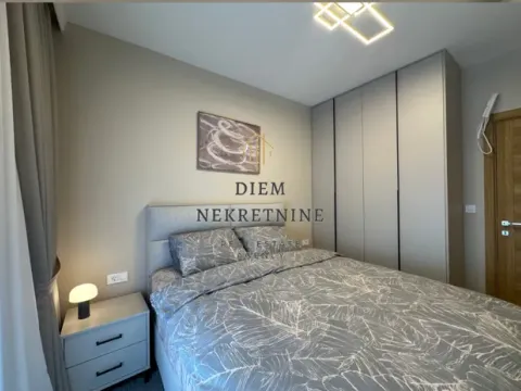 Izdavanje, jednosoban stan, 46m², Centar, Podgorica - image 3