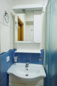 Bathroom with a sink, mirror, and blue tiles. - image 11