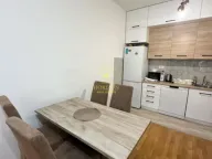 Rent, one bedroom apartment, 44m², Ljubović, Podgorica - image 8