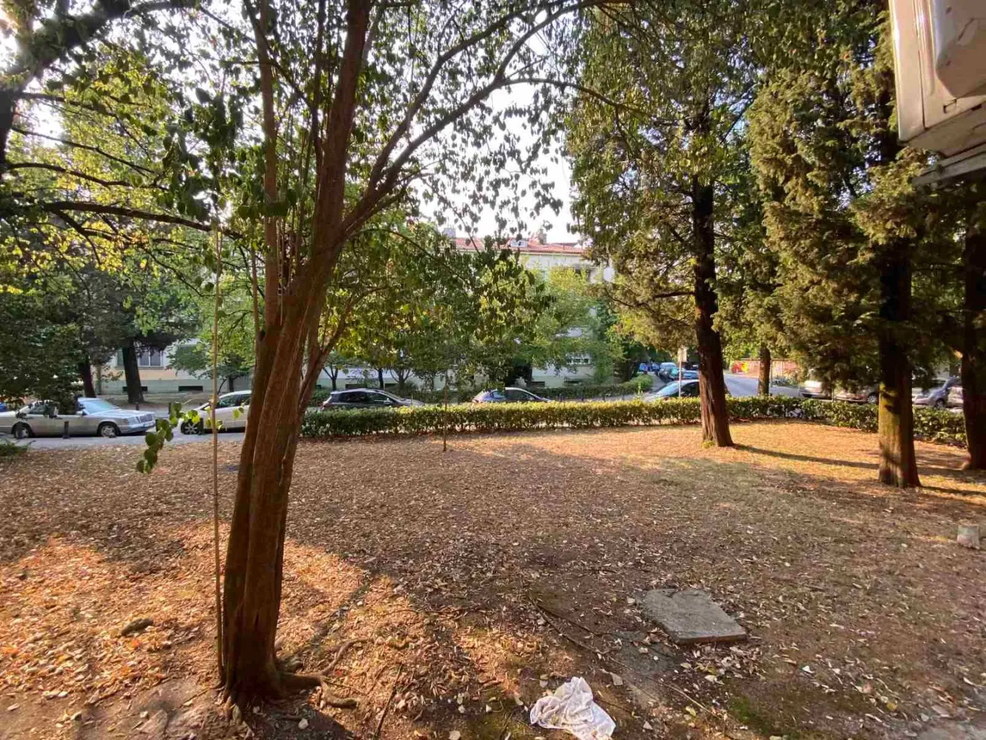 Dvorište zgrade sa drvećem i zelenilom.