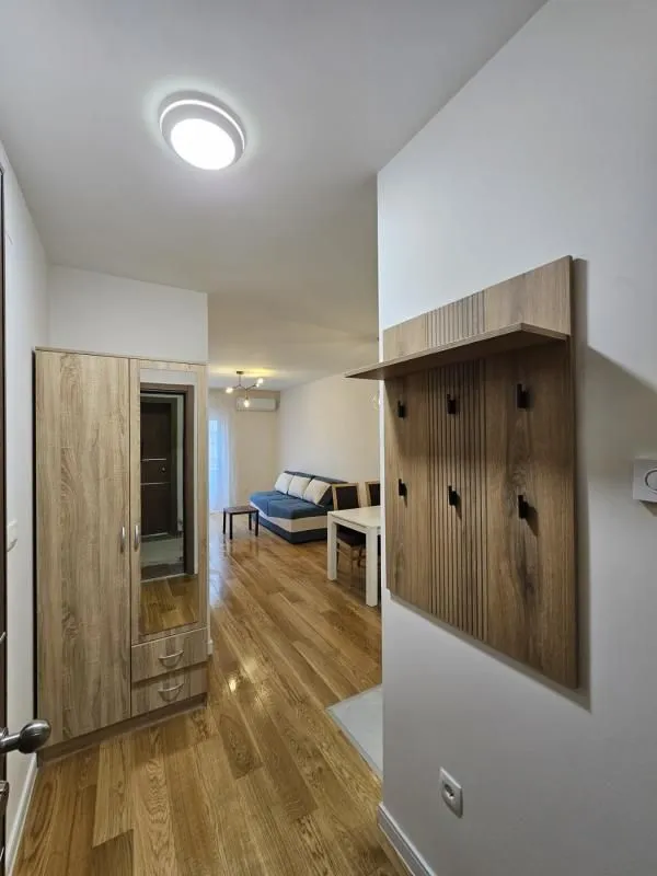 Izdavanje, jednosoban stan, 44m², Central Point, Podgorica