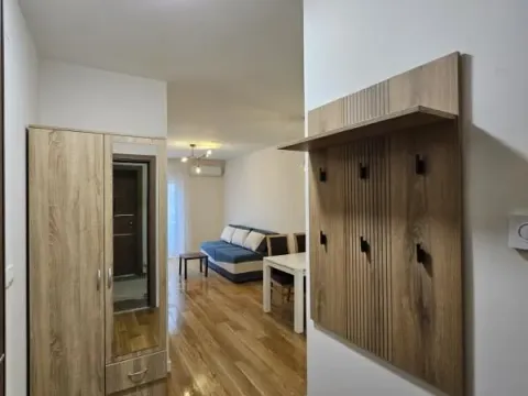 Rent, one bedroom apartment, 44m², Central Point, Podgorica - image 4