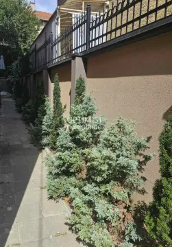 Pogled na popločanu stazu i uređen vrt uz ogradu objekta. - image 20