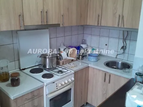 Sale, house, 330m², Temerin, Novi Sad - image 3
