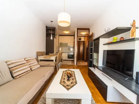 Rent, one bedroom apartment, 40m², Stari Aerodrom, Podgorica - image 2