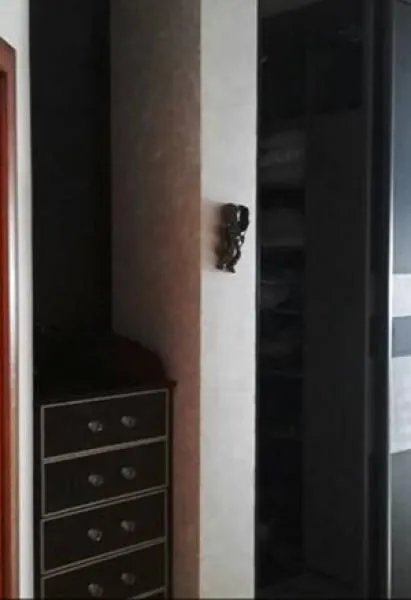 Rent, four bedroom apartment, 210m², Bezanijska Kosa 1, Bežanijska Kosa Sve Podlokacije