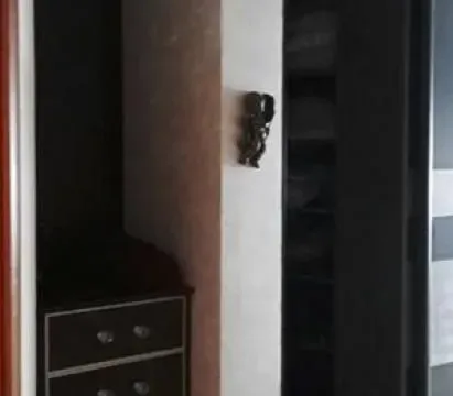 Izdavanje, četvorosoban stan, 210m², Bezanijska Kosa 1, Bežanijska Kosa Sve Podlokacije - image 9