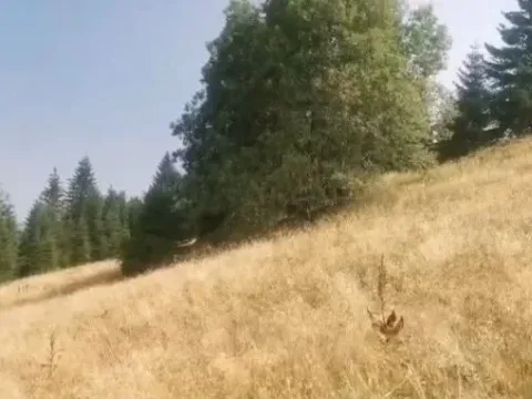 Sale, land lot, 6000m², Kopaonik, Srbija - image 7