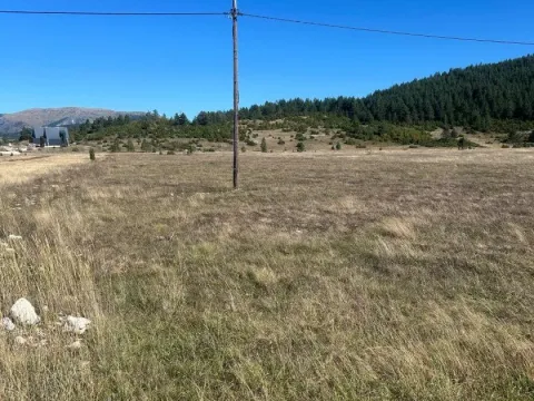 Sale, land lot, 1450m², Žabljak, Crna Gora - image 4