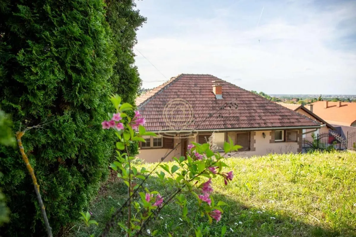 Izdavanje, kuća, 180m², Ledinci, Petrovaradin