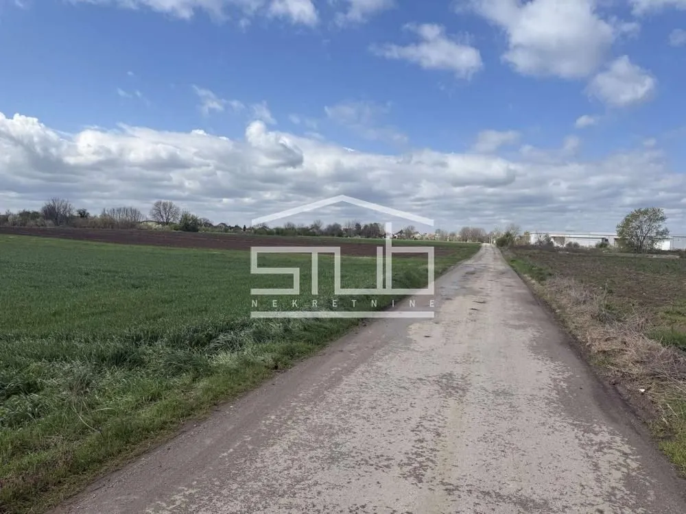 Prodaja, plac, 5000m², Dobanovci, Surčin