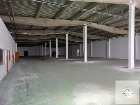 Izdavanje, poslovni prostor, 12000m², Klisa, Novi Sad Sve Podlokacije - image 6