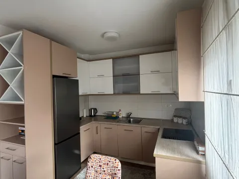 Rent, one bedroom apartment, 51m², Nova Dalmatinska, Podgorica - image 4