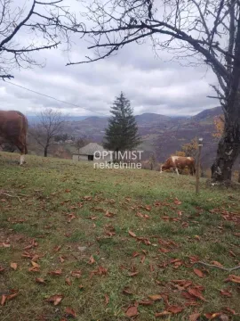 Pogled na dvorište i prirodu sa stablima i travnatom površinom. - image 7