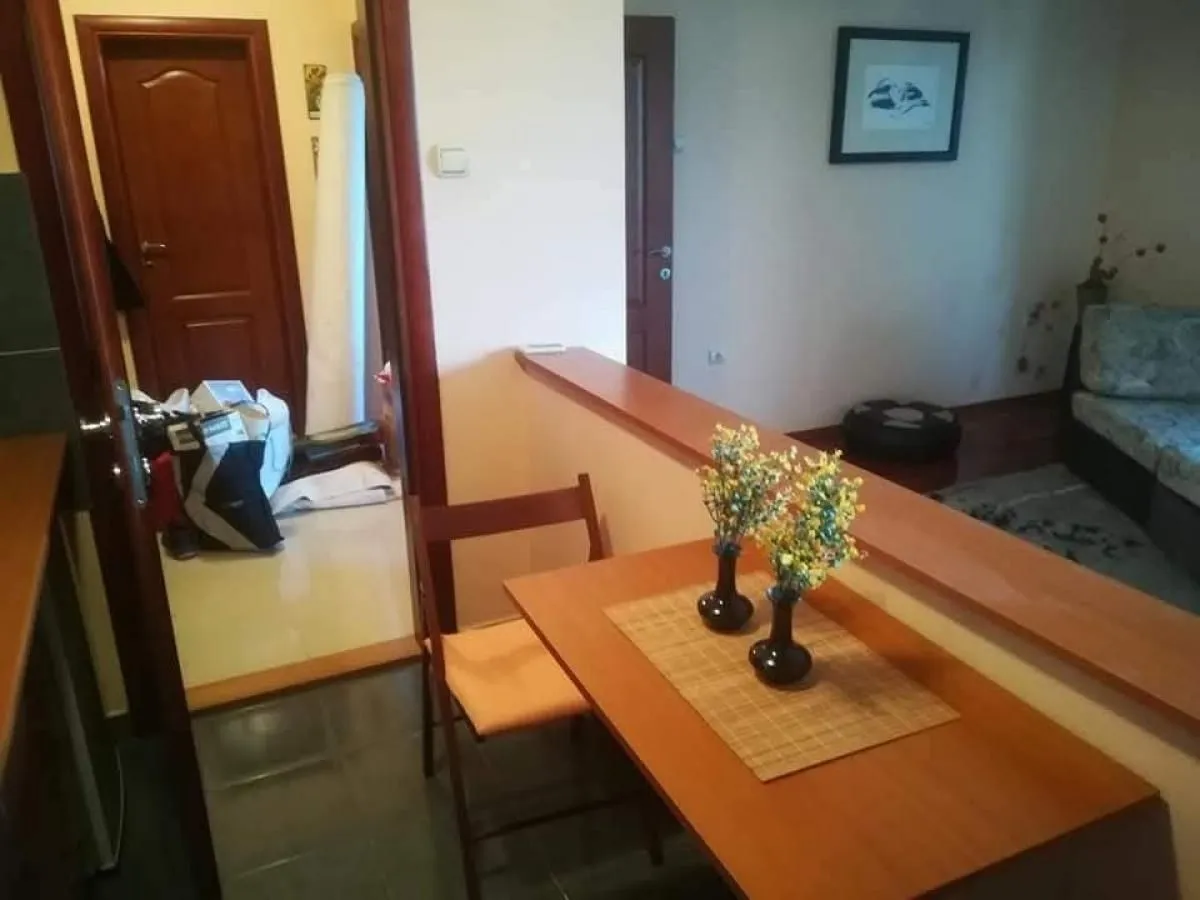Izdavanje, dvosoban stan, 52m², Bulevar Oslobodjenja, Novi Sad Sve Podlokacije