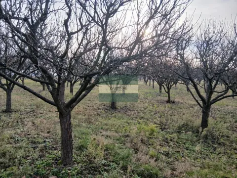 Sale, office space, 723m², Veliki Popović, Despotovac - image 24