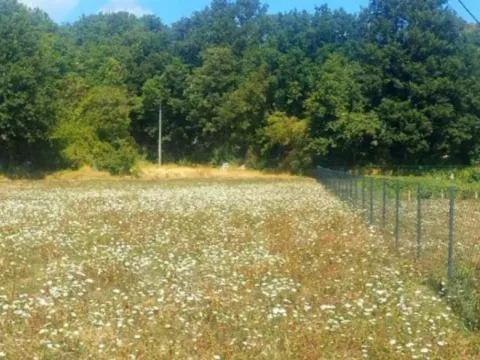 Prodaja, plac, 7279m², Glibavac, Nikšić - image 7