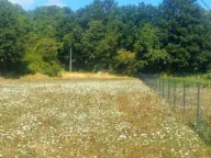 Prodaja, plac, 7279m², Glibavac, Nikšić - image 7