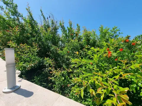 Prodaja, dvosoban stan, 101m², Kavač, Kotor - image 4