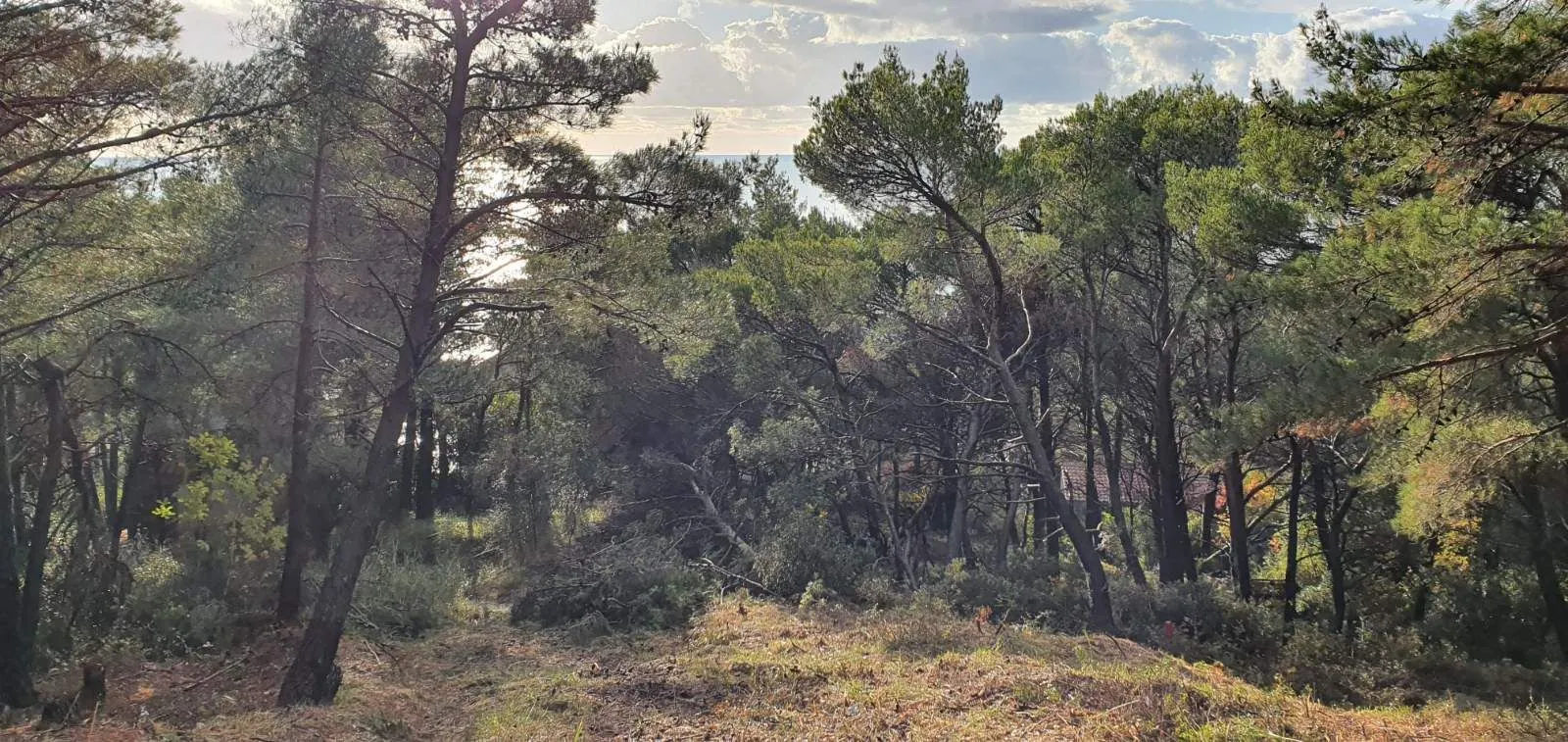 Prodaja, plac, 1028m², Bar, Crna Gora