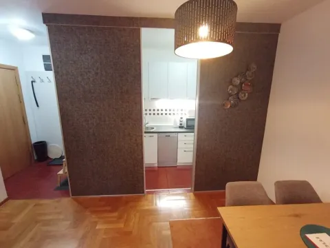 Izdavanje, jednosoban stan, 50m², Preko Morače, Podgorica - image 6