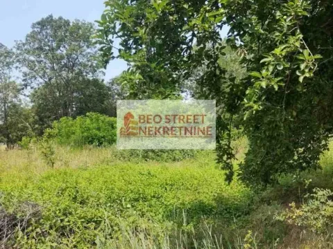 Sale, land lot, 101m², Petrovac na Mlavi, Srbija - image 5