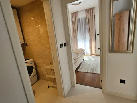 Izdavanje, jednosoban stan, 45m², Centar, Podgorica - image 10