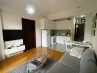 Izdavanje, jednosoban stan, 45m², Centar, Podgorica - image 3