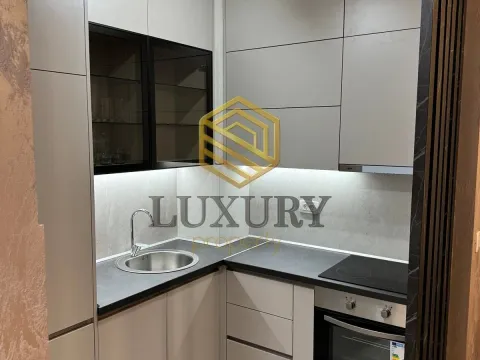 Rent, one bedroom apartment, 40m², Central Point, Podgorica - image 3