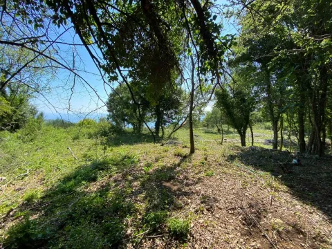 Prodaja, plac, 1803m², Kuljače, Budva - image 5