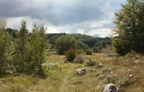 Prodaja, plac, 20000m², Cetinje, Crna Gora