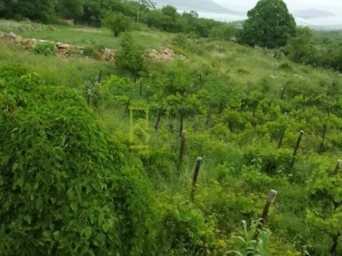 Sale, land lot, 90m², Bandići, Danilovgrad