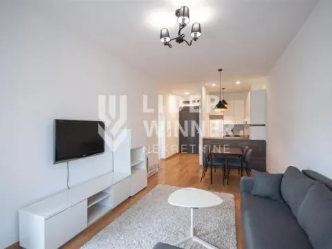 Izdavanje, dvosoban stan, 50m², Voždovac Sve Podlokacije, Beograd - image 16