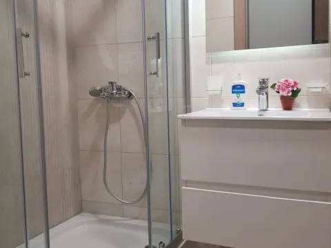 Rent, one bedroom apartment, 25m², Master Kvart, Podgorica - image 4