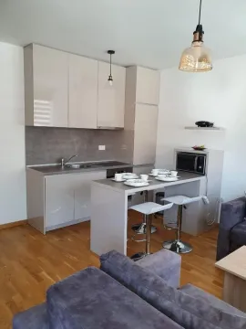 Modern kitchen with a breakfast bar and diningware, connected to the living room. - image 7