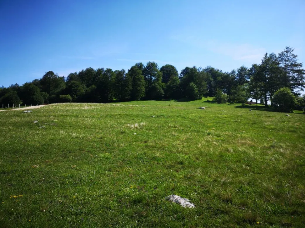 Prodaja, plac, 11500m², Pošćenski Kraj, Žabljak