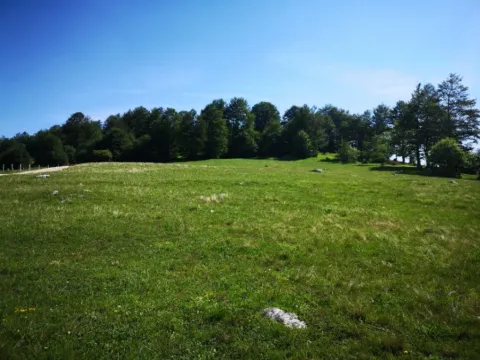 Prodaja, plac, 11500m², Pošćenski Kraj, Žabljak - image 5