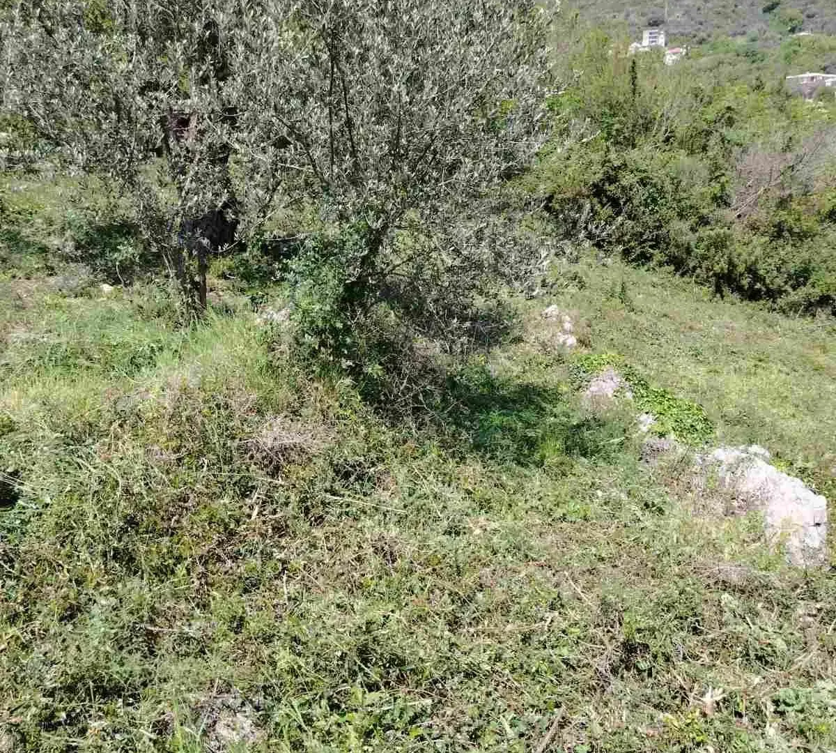 Prodaja, plac, 800m², Zeleni Pojas, Bar