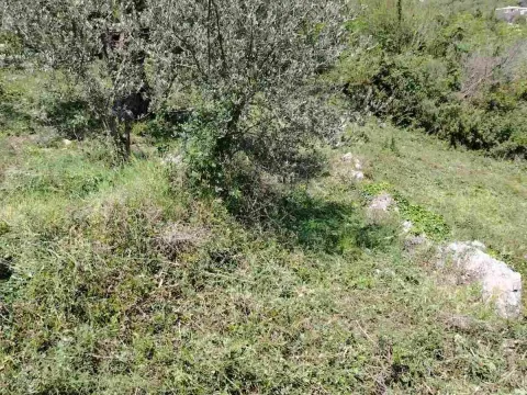 Prodaja, plac, 800m², Zeleni Pojas, Bar - image 3