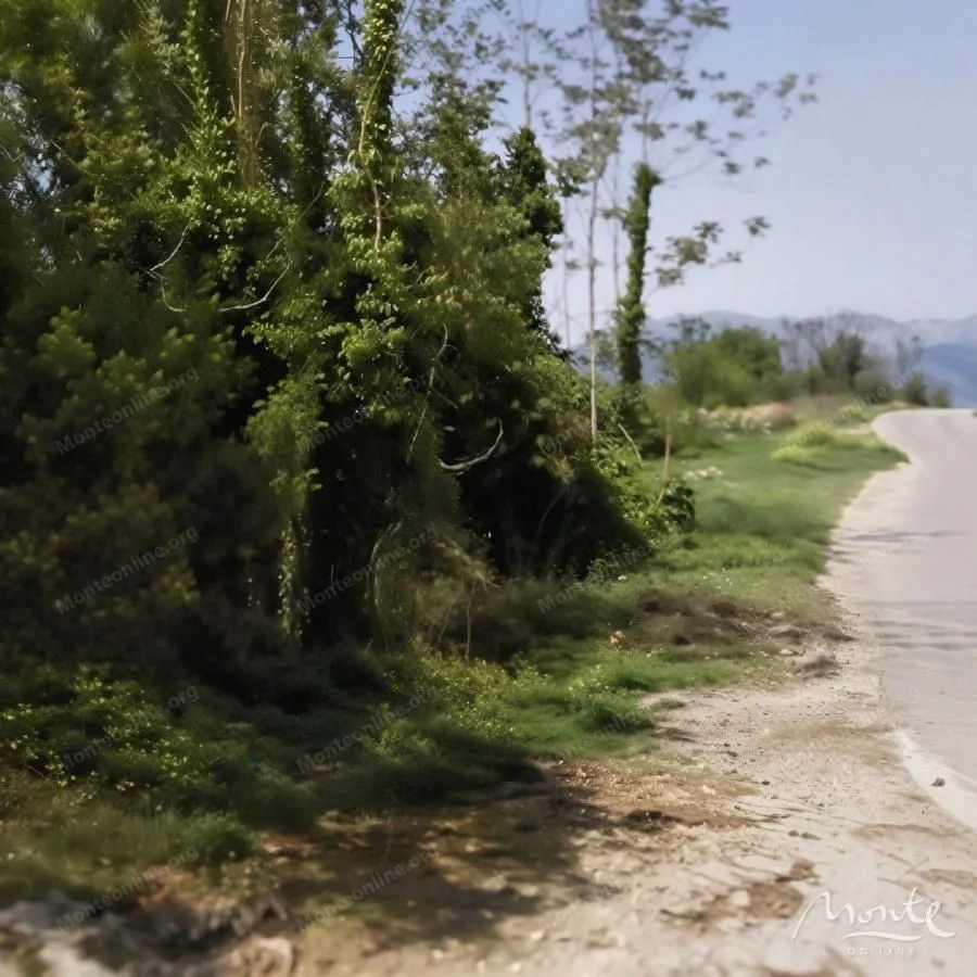 Prodaja, plac, 4347m², Dub, Kotor