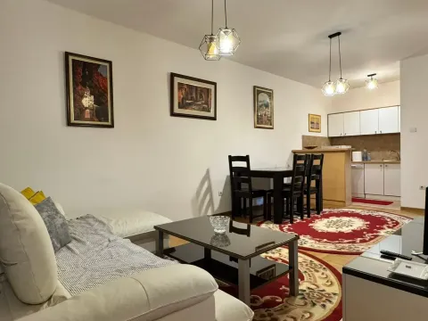 Sale, one bedroom apartment, 50m², Zabjelo, Podgorica - image 2