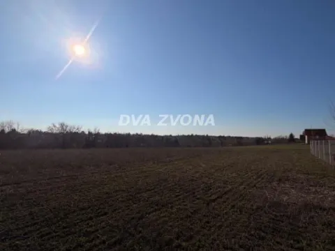 Prodaja, plac, 1000m², Čortanovci, Inđija - image 2