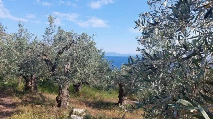 Sale, land lot, 1750m², Reževići, Budva