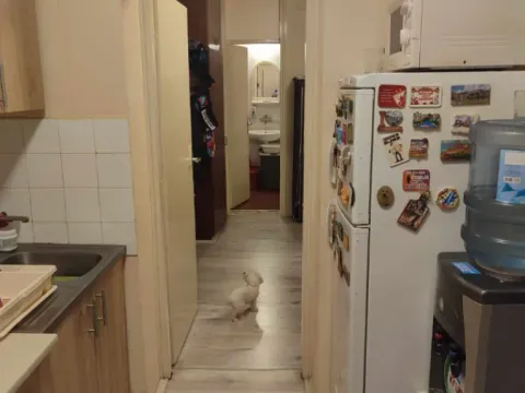 Sale, two bedroom apartment, 67m², Zrenjanin, Srbija - image 12