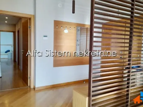 Izdavanje, stan, 200m², Novi Beograd Sve Podlokacije, Beograd - image 9